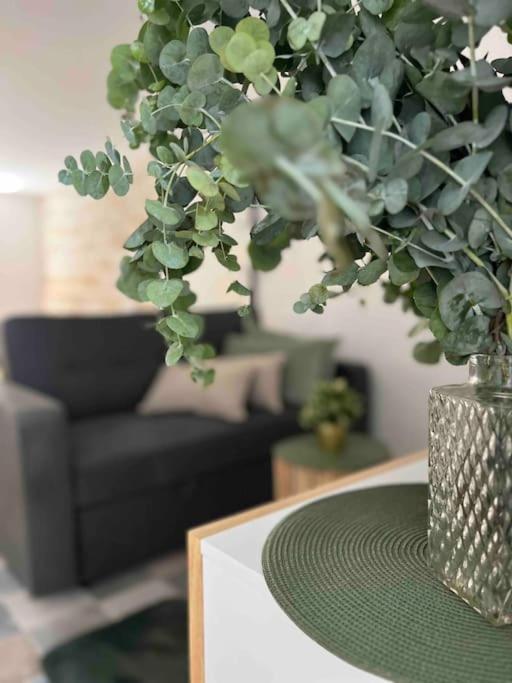 Estudio Coqueto Centrico Alicante Ngoại thất bức ảnh